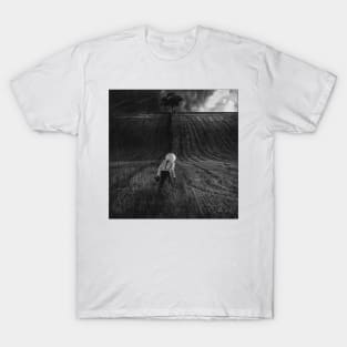 Go into the light 6 T-Shirt